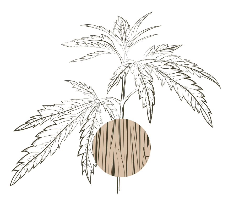 Workies_Why_hemp_2.png