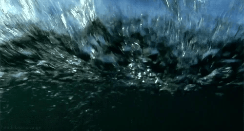 giphy_1.webp